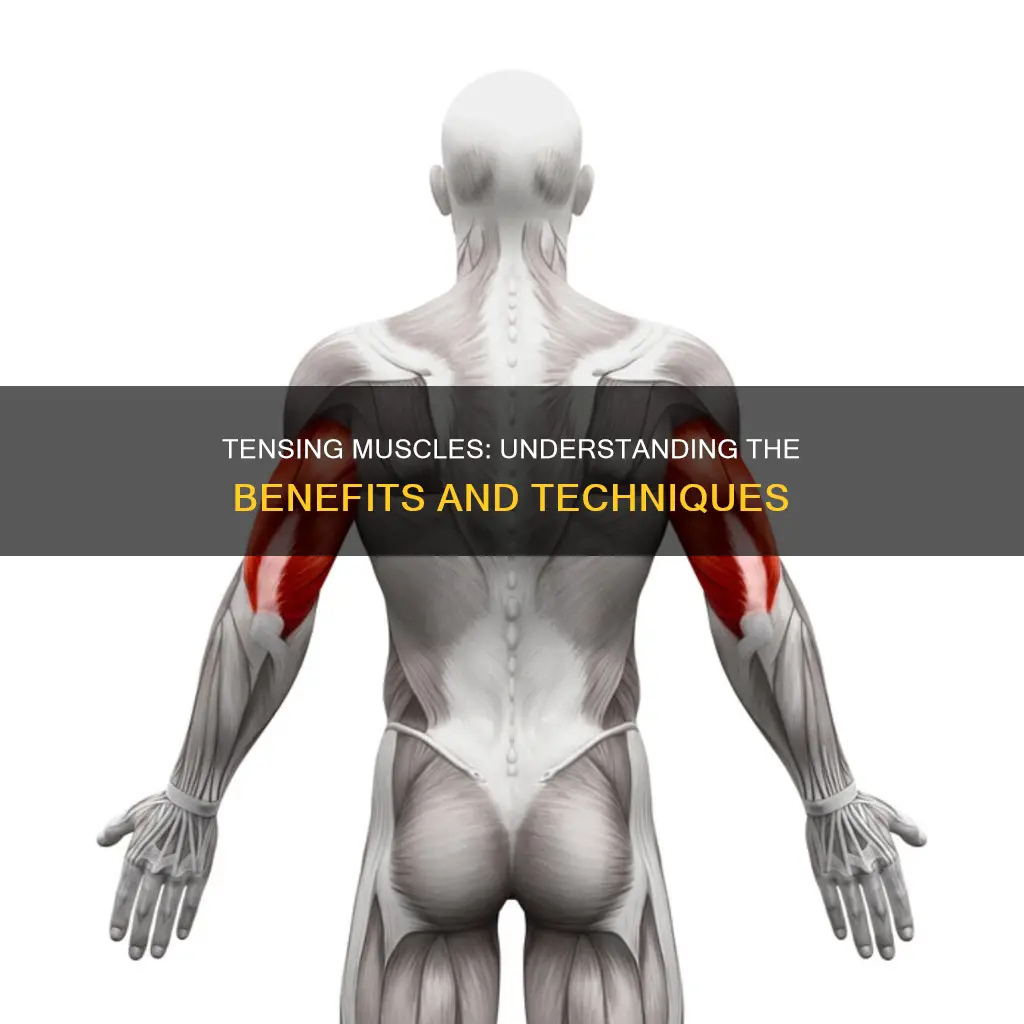 what is tensing muscles