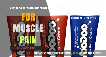 Top Analgesic Creams for Effective Muscle Pain Relief: A Guide