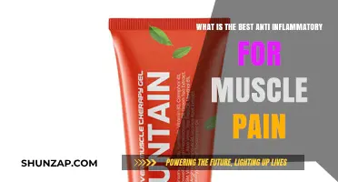 Effective Anti-Inflammatory Solutions for Relieving Muscle Pain Naturally