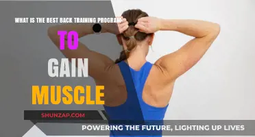 Effective Back Training Program for Maximum Muscle Growth and Strength