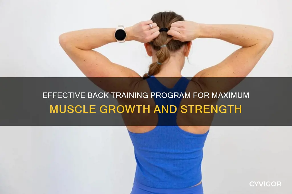 what is the best back training program to gain muscle