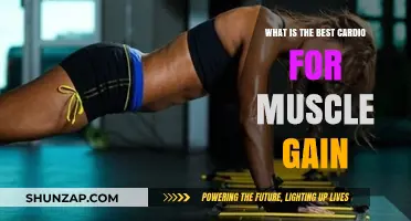 Maximize Muscle Growth: The Optimal Cardio Strategies Revealed