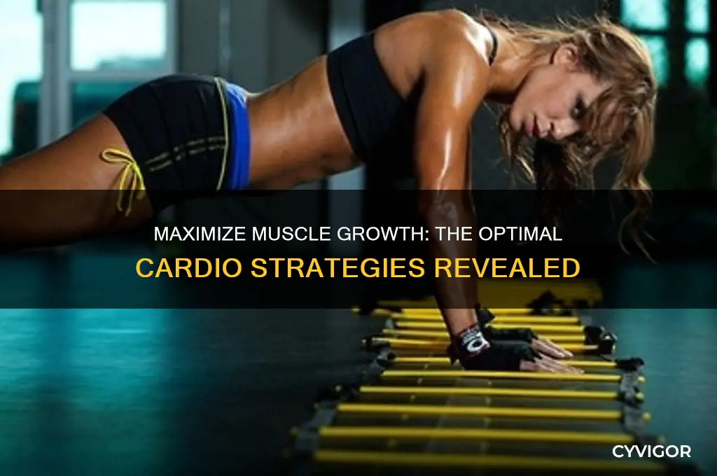 what is the best cardio for muscle gain
