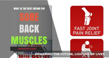Top Soothing Creams for Relieving Sore Back Muscles Fast