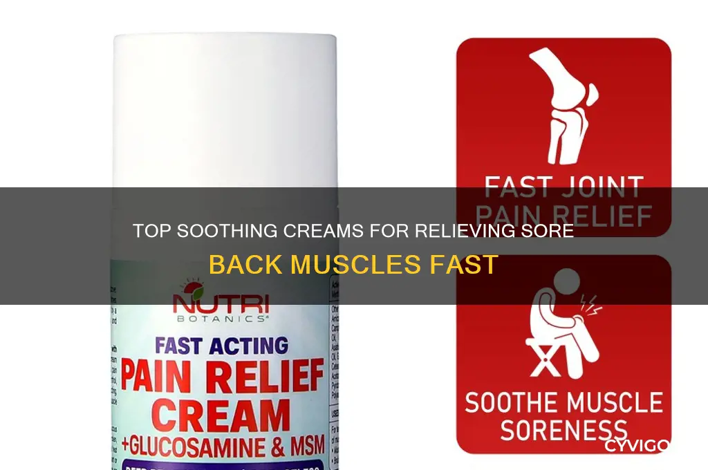 what is the best cream for sore back muscles
