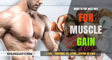 Optimal Nutrition Strategies for Effective Muscle Gain and Growth