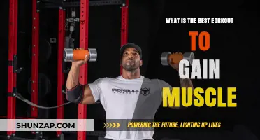 Effective Muscle-Building Workouts: Strategies for Optimal Strength and Growth