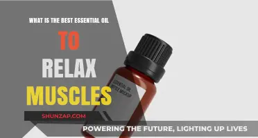 Unwind Naturally: Top Essential Oils for Muscle Relaxation and Relief