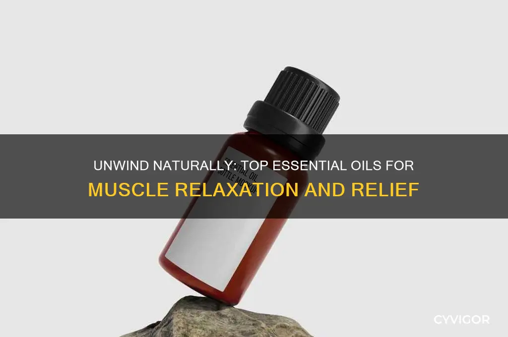 what is the best essential oil to relax muscles