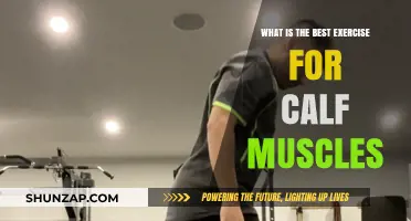 Effective Calf Muscle Exercises: A Comprehensive Guide