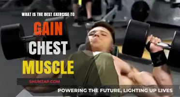 Effective Chest Muscle Building: Top Exercises for Maximum Growth