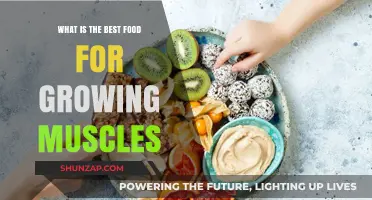 Fuel Your Muscle Growth: Top Foods for Strength and Size