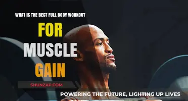 Ultimate Full Body Workout Plan for Maximum Muscle Gain