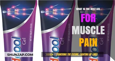 Top Gel Remedies for Effective Muscle Pain Relief and Recovery