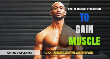 Effective Gym Routine Strategies for Maximum Muscle Gain and Strength