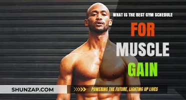 Optimal Gym Schedule for Maximum Muscle Gain: Expert Tips