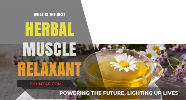 Discover Nature's Best Herbal Muscle Relaxants for Quick Relief