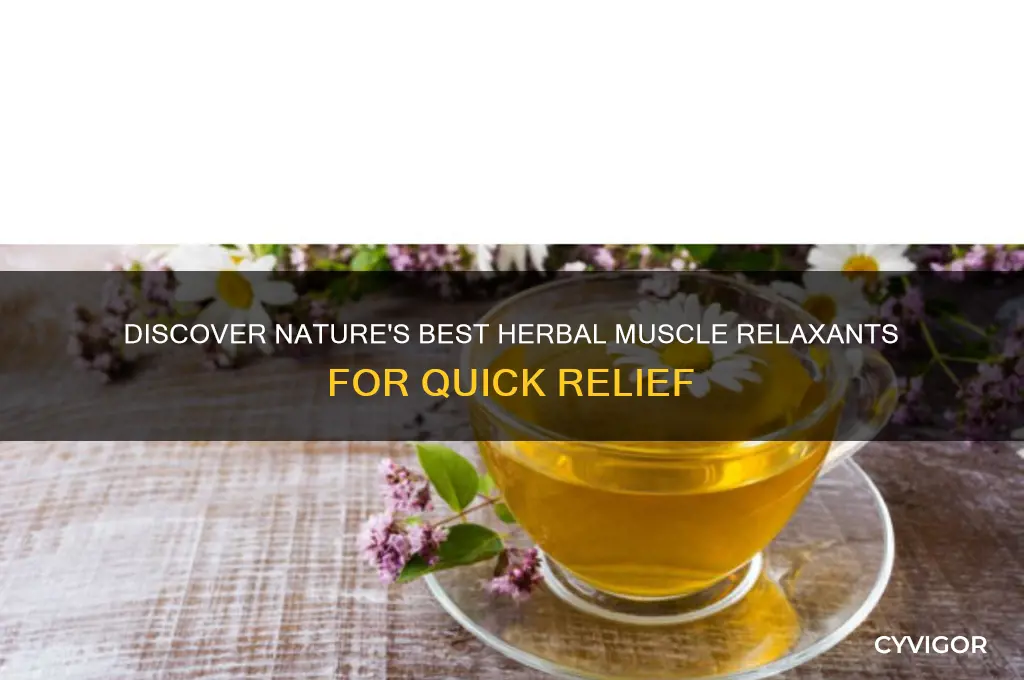 what is the best herbal muscle relaxant