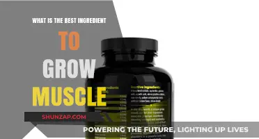 Unlock Muscle Growth: The Ultimate Ingredient for Strength and Size