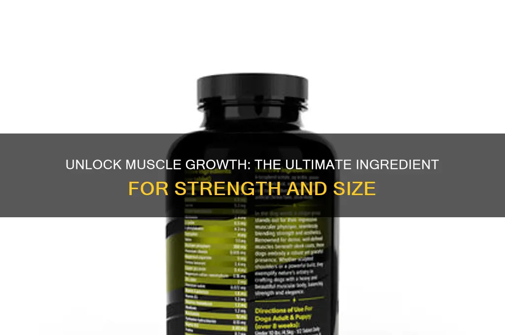 what is the best ingredient to grow muscle