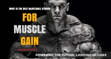 Top Injectable Steroids for Rapid Muscle Growth: Expert Guide
