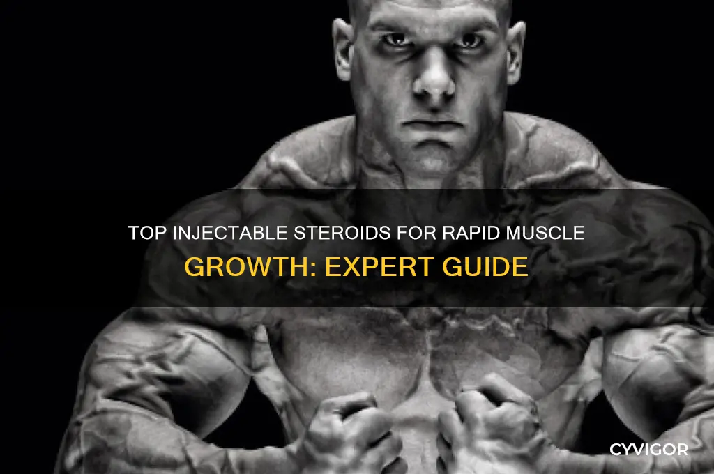 what is the best injectable steroid for muscle gain