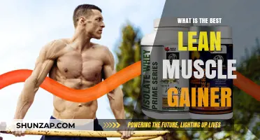 Top Lean Muscle Gainer Supplements for Optimal Growth and Strength