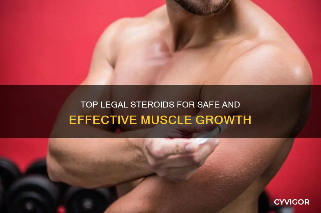what is the best legal steroid for muscle gain
