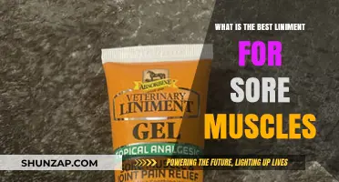 Effective Liniment Remedies for Soothing Sore Muscles: Top Picks