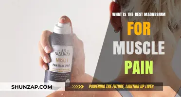 Top Magnesium Types to Relieve Muscle Pain Effectively and Naturally