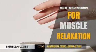 Top Magnesium Types for Effective Muscle Relaxation and Recovery