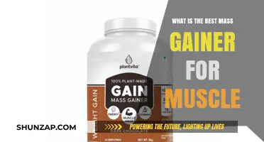 Top Mass Gainer Supplements for Optimal Muscle Growth and Recovery
