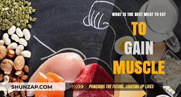 Top Muscle-Building Meats: Fuel Your Gains with the Best Protein Sources