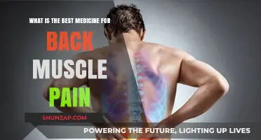 Effective Remedies for Back Muscle Pain: Top Treatments and Relief Tips