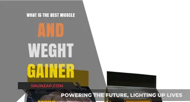 Top Muscle and Weight Gainer Supplements for Optimal Growth