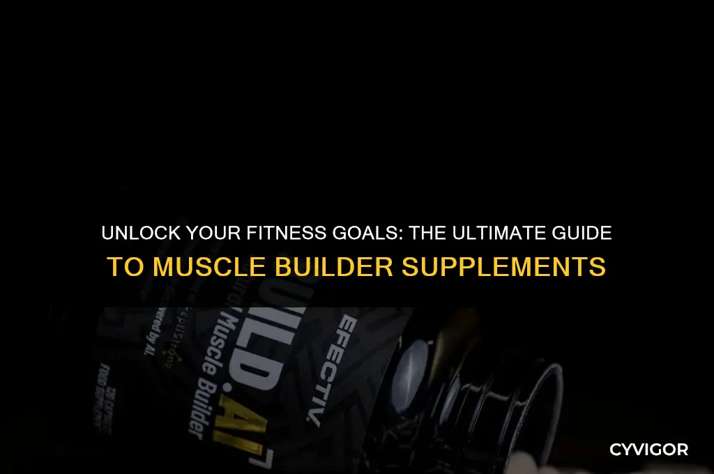 what is the best muscle builder supplement