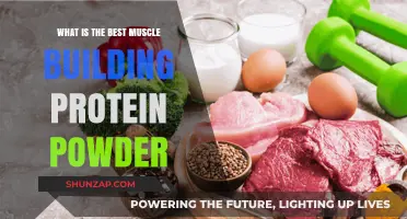 Unlock Your Fitness Goals: The Ultimate Guide to Muscle-Building Protein Powders