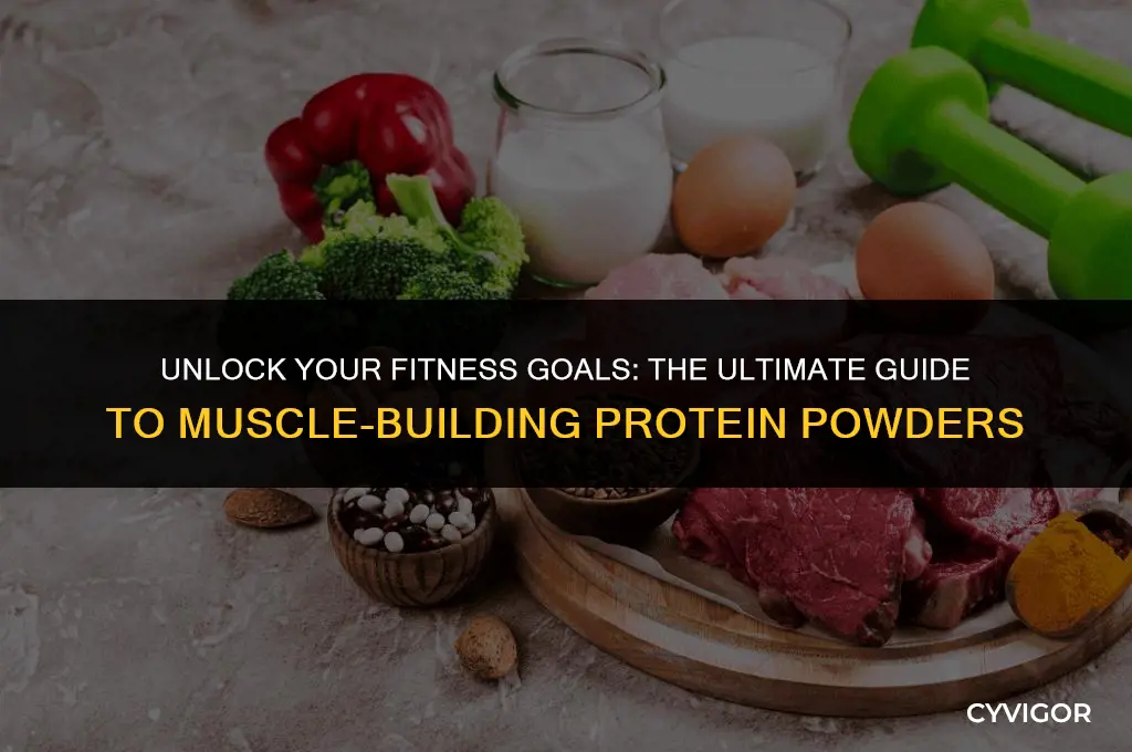 what is the best muscle building protein powder