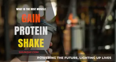 Top Muscle-Building Protein Shakes for Optimal Gains and Recovery