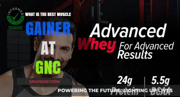 Top GNC Muscle Gainer Supplements for Effective Mass Building
