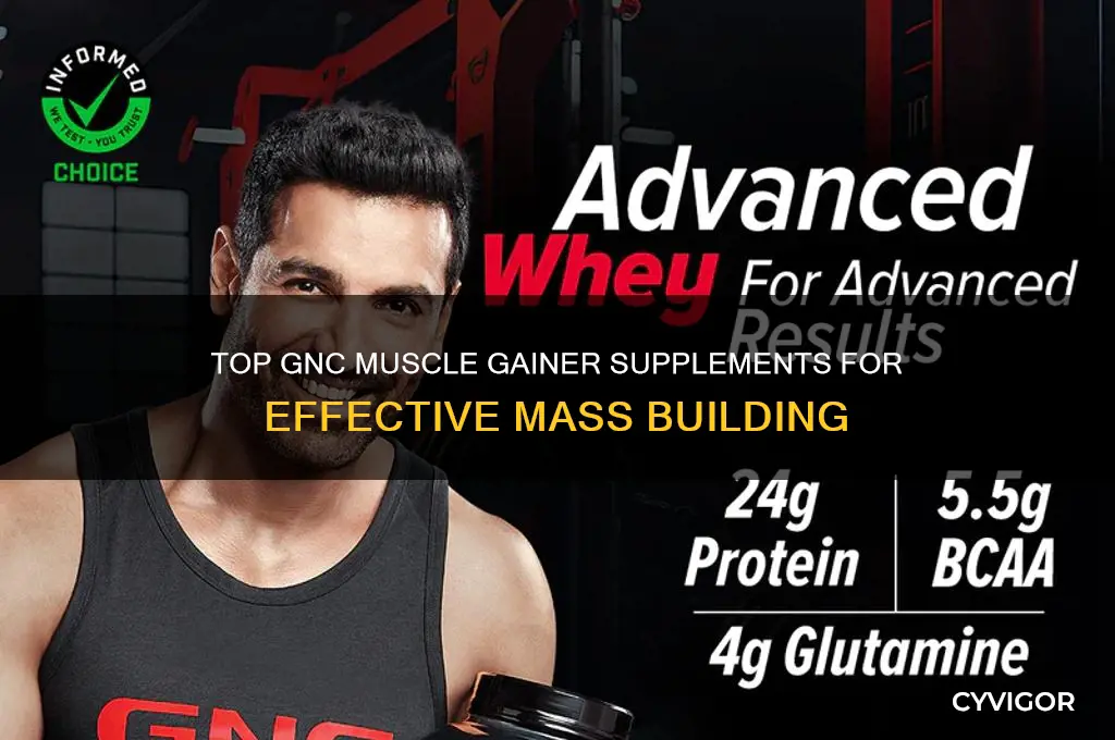 what is the best muscle gainer at gnc