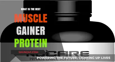 Top Muscle Gainer Proteins for Effective Mass Building and Recovery
