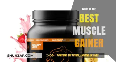 Top Muscle Gainer Supplements for Effective Mass Building Results