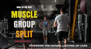 Optimal Muscle Group Split: Maximizing Gains and Recovery Efficiently