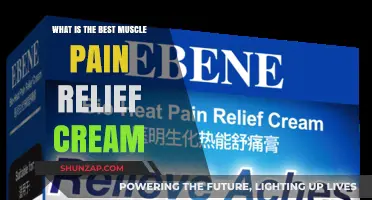 Top Muscle Pain Relief Creams: Effective Solutions for Sore Muscles