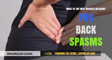 Effective Muscle Relaxants for Back Spasms: Top Relief Options