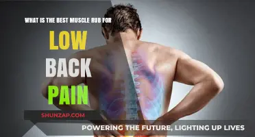 Effective Muscle Rubs for Relieving Low Back Pain: Top Picks