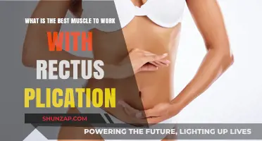Rectus Plication: Optimal Muscle Pairing for Enhanced Core Strength