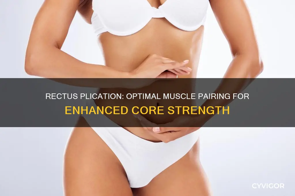 what is the best muscle to work with rectus plication