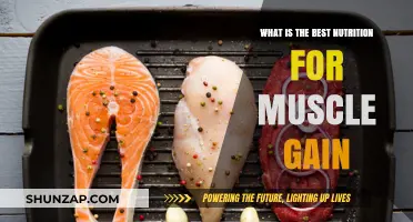 Fuel Your Gains: Optimal Nutrition Strategies for Muscle Growth